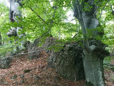 Прикрепленное изображение: 008.jpg